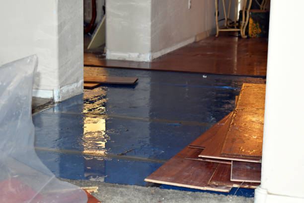 Professional Water Damage Restoration technician working in Berkley, MA